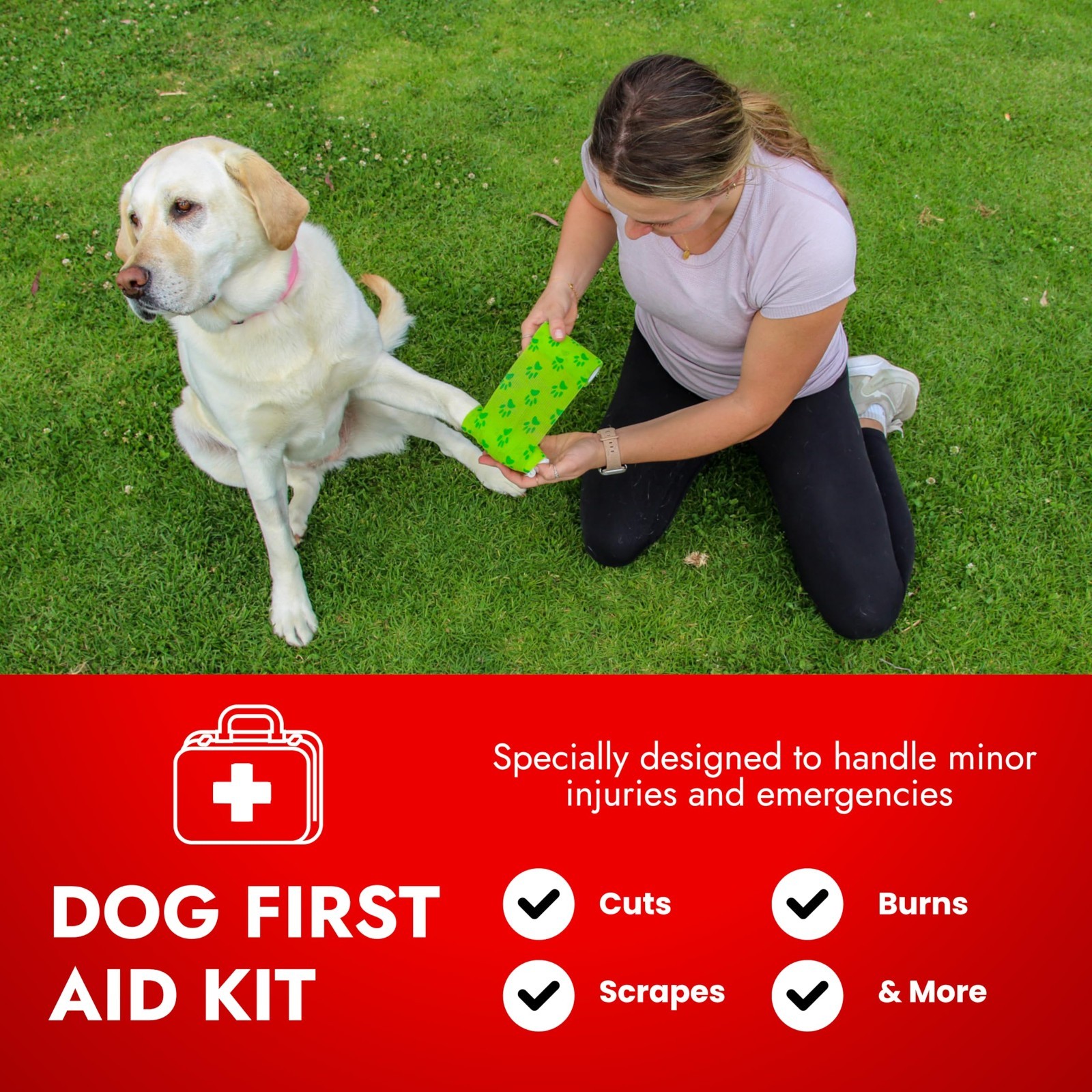 Pet First Aid Kit for Cats & Dogs – Emergency Health Supplies, Wound Care, Therm