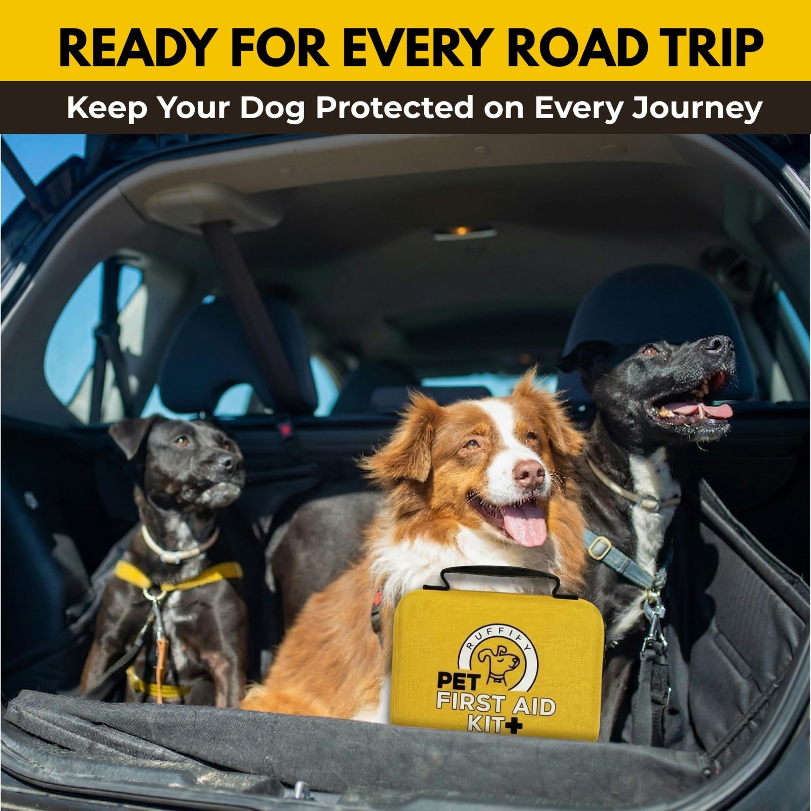 Pet First Aid Kit for Dogs & Cats – 74 Essential Emergency Supplies for Travel,
