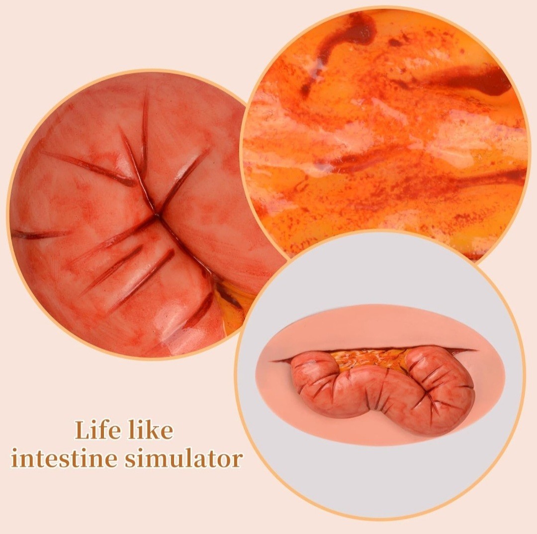 Adhesive Eviscerated Intestine Simulator, Open Abdominal Wound Packing Trainer
