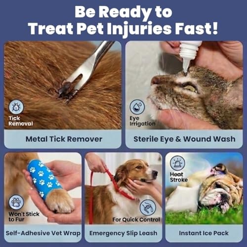 Dog First Aid Kit – Vet Approved Emergency Supplies 1 Essential Kit (53 pieces)