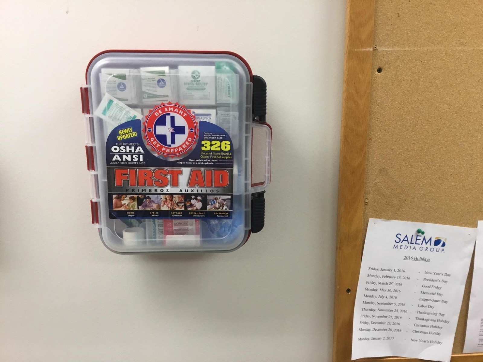 All-in-One First Aid Kit – 326 Items in Red Case Exceeding Safety Standards