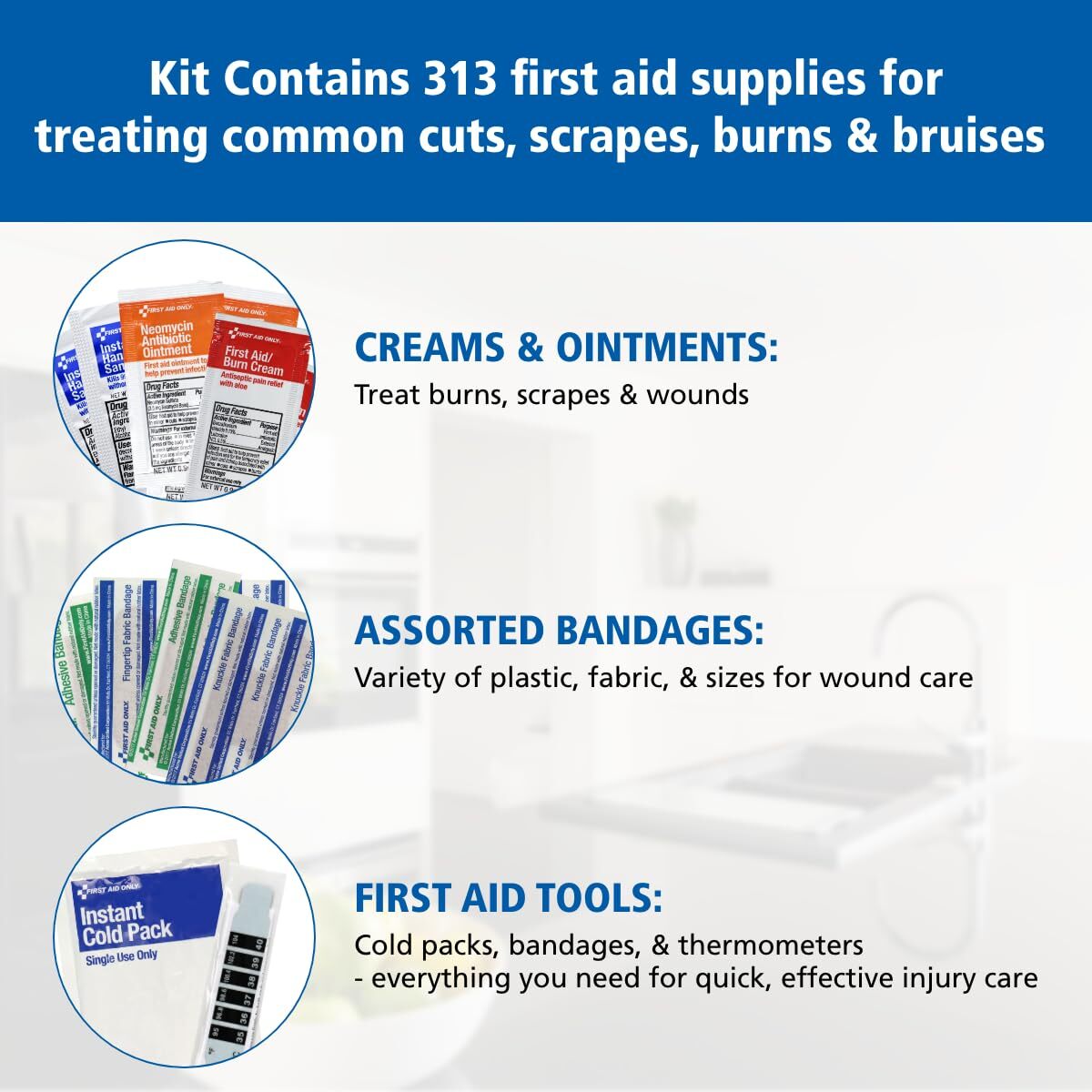 First Aid Only 313 Piece Home & Go Emergency First Aid Kit