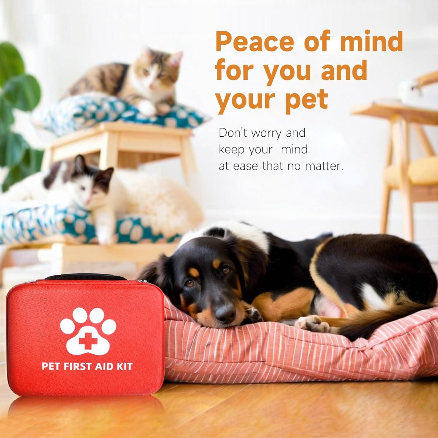 Dog First Aid Kit Your Best Friend's Emergency Essential