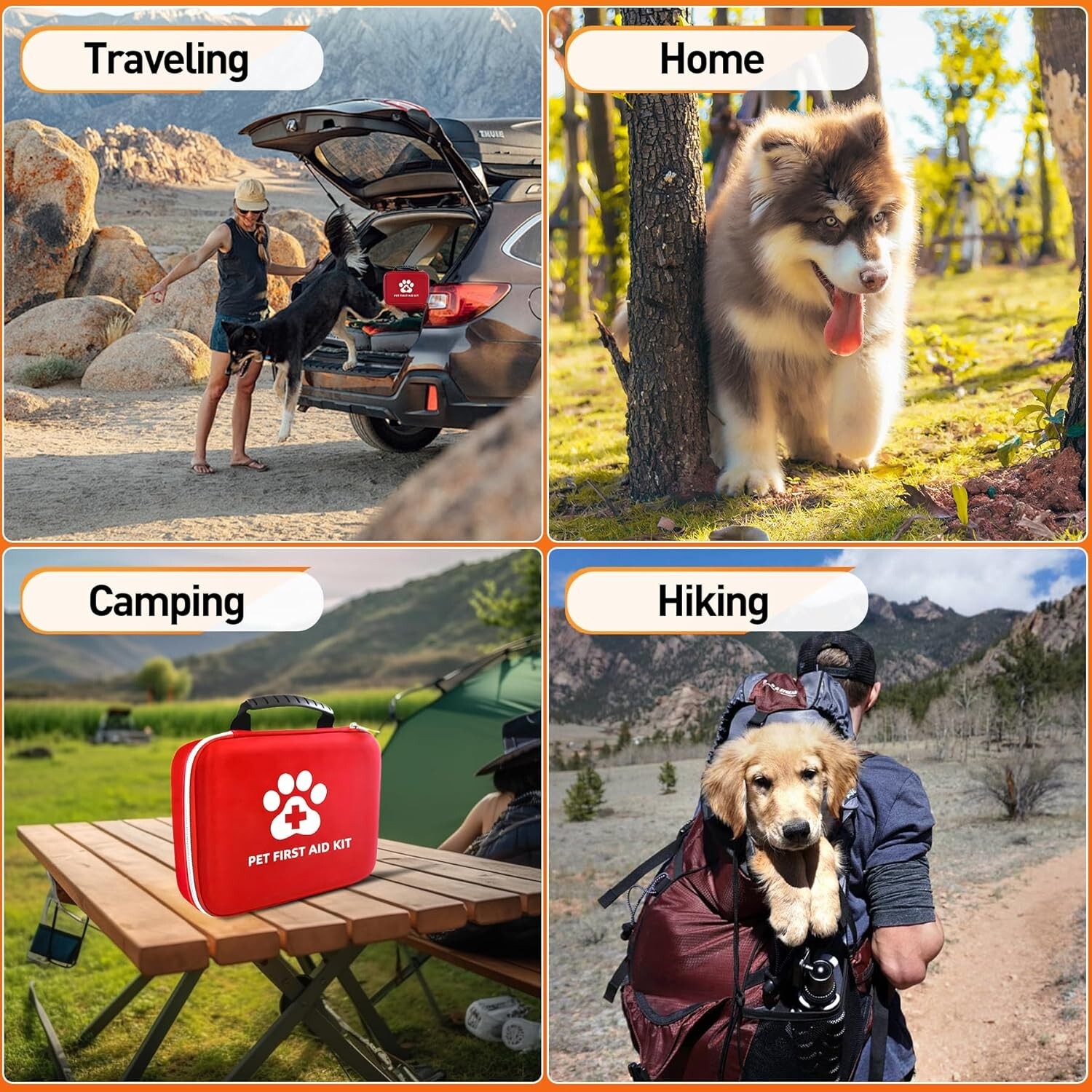 Dog First Aid Kit Your Best Friend's Emergency Essential